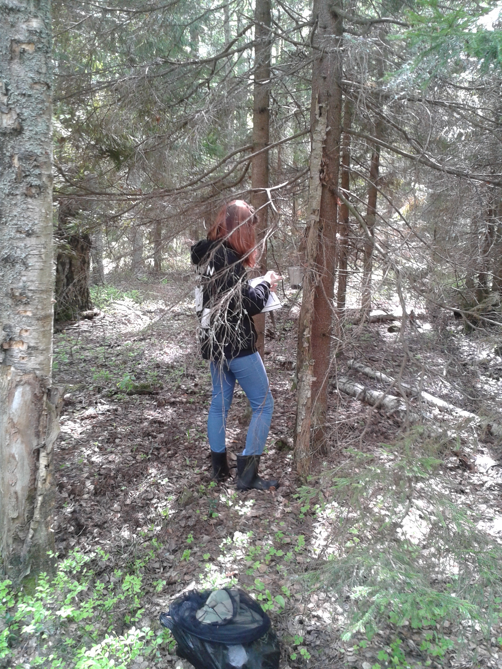 Дарвинский заповедник.