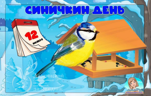 12 ноября – Синичкин день