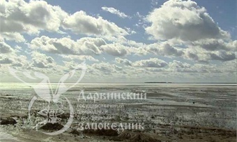 Уровень воды в Рыбинском водохранилище достиг критической отметки