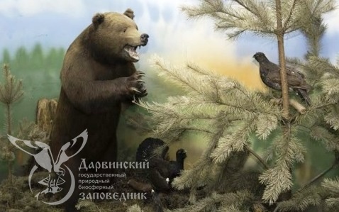 Юбилей