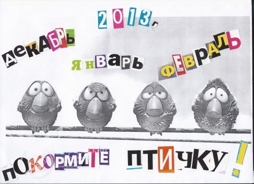 Подведение итогов 1 этапа акции "Покормите птиц зимой"