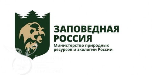 Заседание правления Ассоциации заповедников и НП