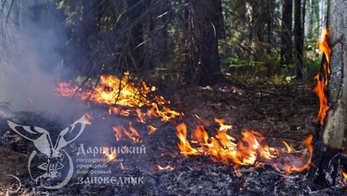 Лесные пожары в Бурятии
