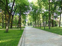 Марш парков- 2012