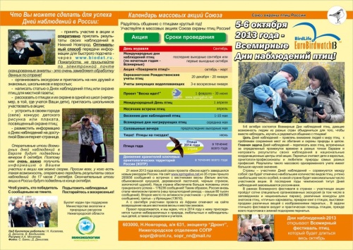 Дни наблюдений за птицами