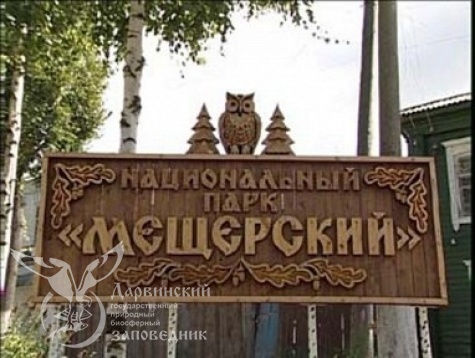 Привлечь к ответственности