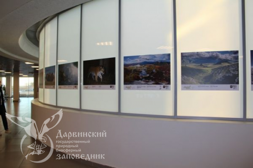 Выставка Заповедная природа России в Санкт-Петербурге