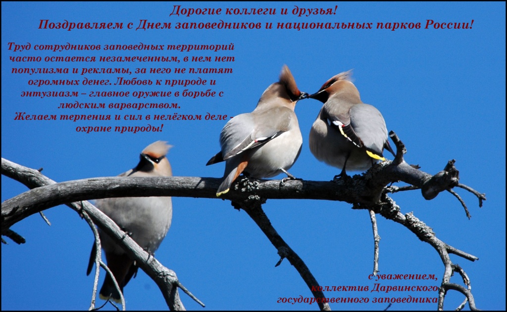 с_праздником (1).JPG