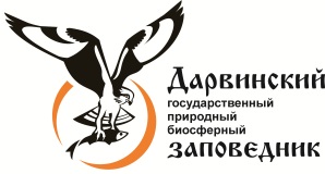 лого.jpg