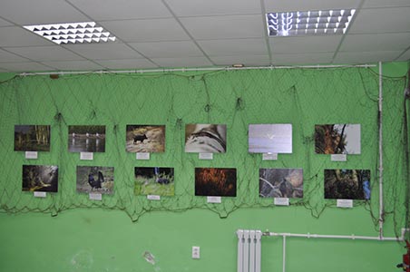 фотовыставка1.jpg фотовыставка1.jpg